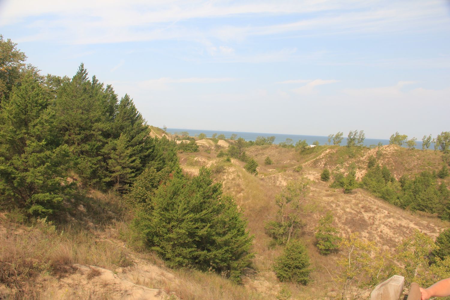 Diana of the Dunes Succession Trail 